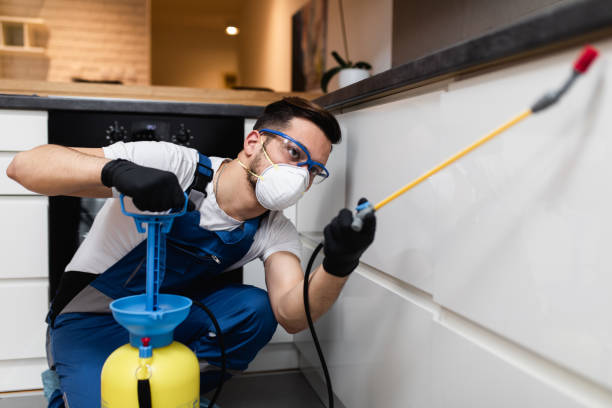 Best Mosquito Control Services  in Floydada, TX