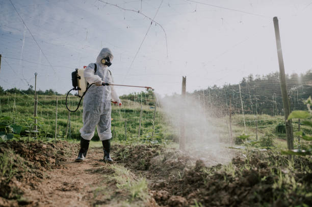 Best Affordable Pest Control Services  in Floydada, TX