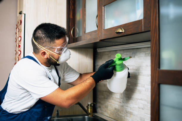 Best Flea Control Services  in Floydada, TX